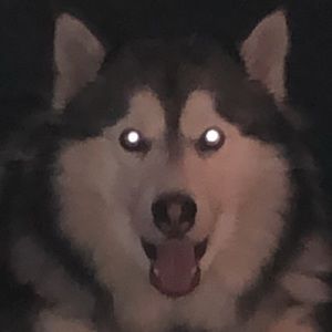 Meet your Posher, Kateri